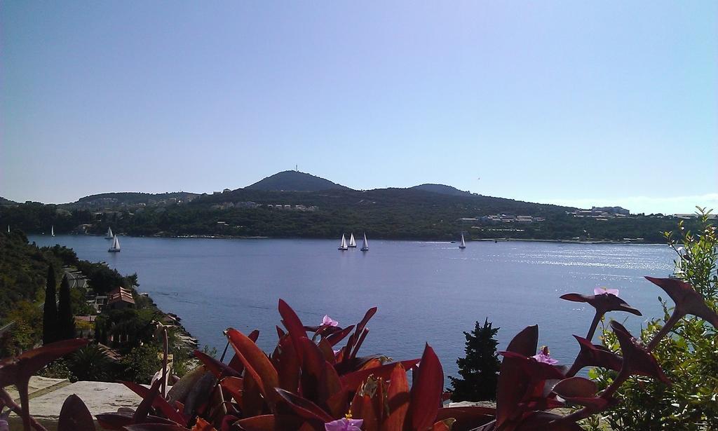 Apartments Anamaria Dubrovnik Phòng bức ảnh