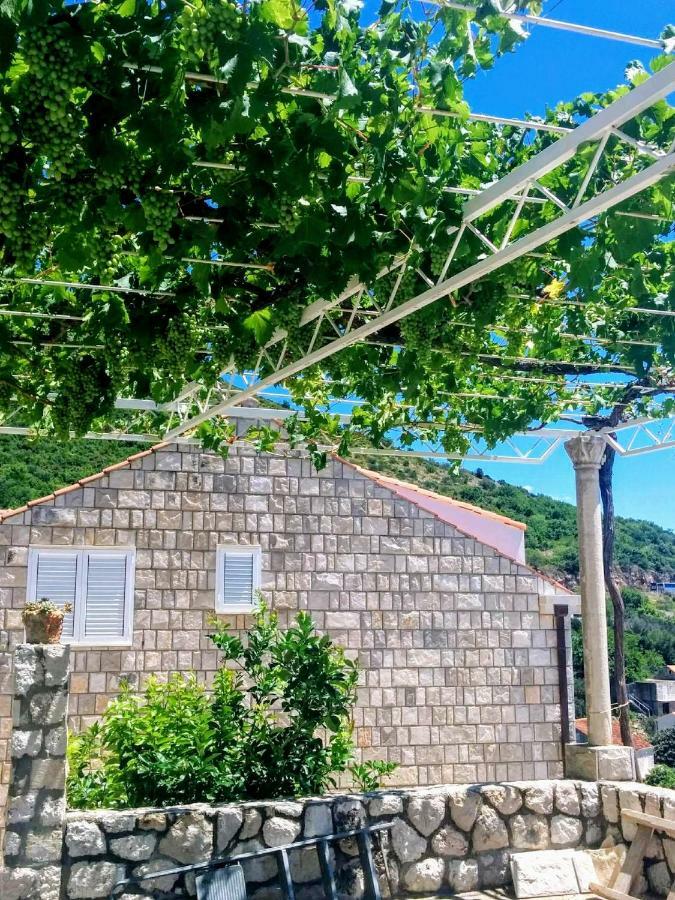 Apartments Anamaria Dubrovnik Ngoại thất bức ảnh