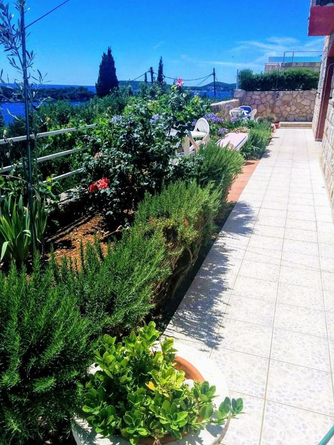 Apartments Anamaria Dubrovnik Ngoại thất bức ảnh